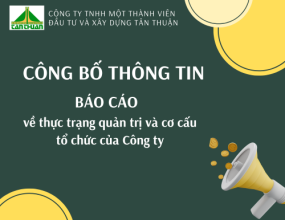 Báo cáo thực trạng quản trị và cơ cấu tổ chức của Công ty TNHH một thành viên Đầu tư và Xây dựng Tân Thuận Báo cáo thực trạng quản trị và cơ cấu tổ chức của Công ty TNHH một thành viên Đầu tư và Xây dựng Tân Thuận