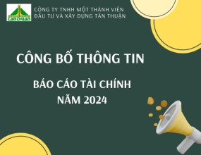 Báo cáo tài chính năm 2024 Báo cáo tài chính năm 2024