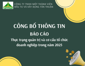 Báo cáo về thực trạng quản trị và cơ cấu tổ chức doanh nghiệp năm 2025 của Công ty TNHH một thành viên Đầu tư và Xây dựng Tân Thuận