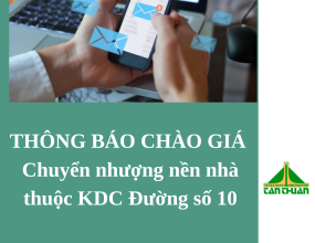 Thông báo về việc tham gia chào giá chuyển nhượng nền nhà thuộc dự án Khu dân cư Đường số 10, xã Bến Lức, tỉnh Tây Ninh