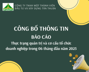 Báo cáo về thực trạng quản trị và cơ cấu tổ chức doanh nghiệp 06 tháng đầu năm 2025 của Công ty TNHH một thành viên Đầu tư và Xây dựng Tân Thuận