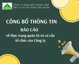 Báo cáo thực trạng quản trị và cơ cấu tổ chức của Công ty TNHH một thành viên Đầu tư và Xây dựng Tân Thuận