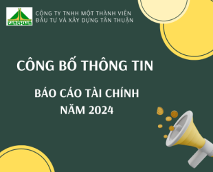 Báo cáo tài chính năm 2024