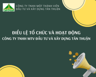 Điều lệ tổ chức và hoạt động Công ty trách nhiệm hữu hạn một thành viên Đầu tư và Xây dựng Tân Thuận